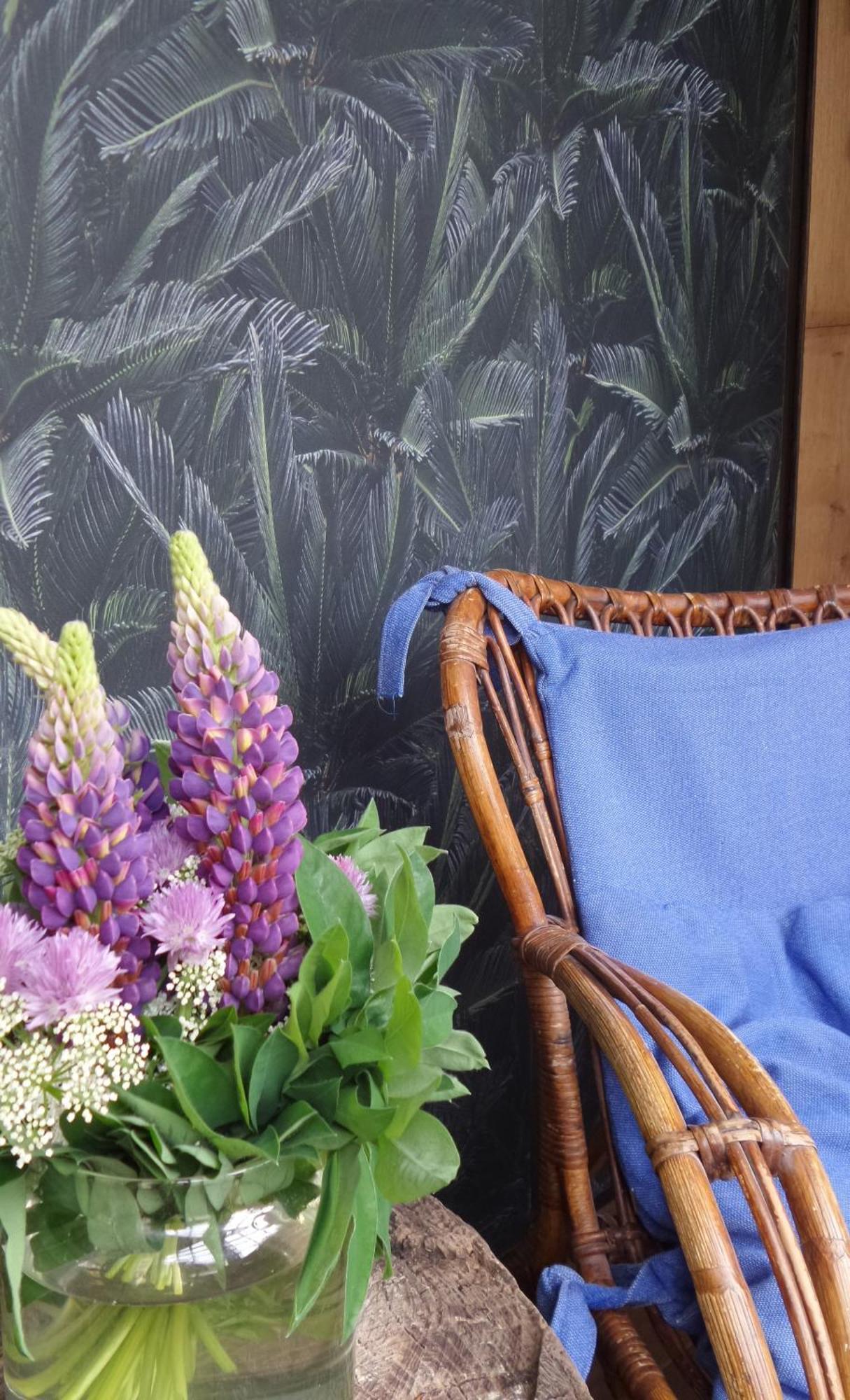 Aan De Molenberg Bed & Breakfast Broekhuizen  Екстериор снимка