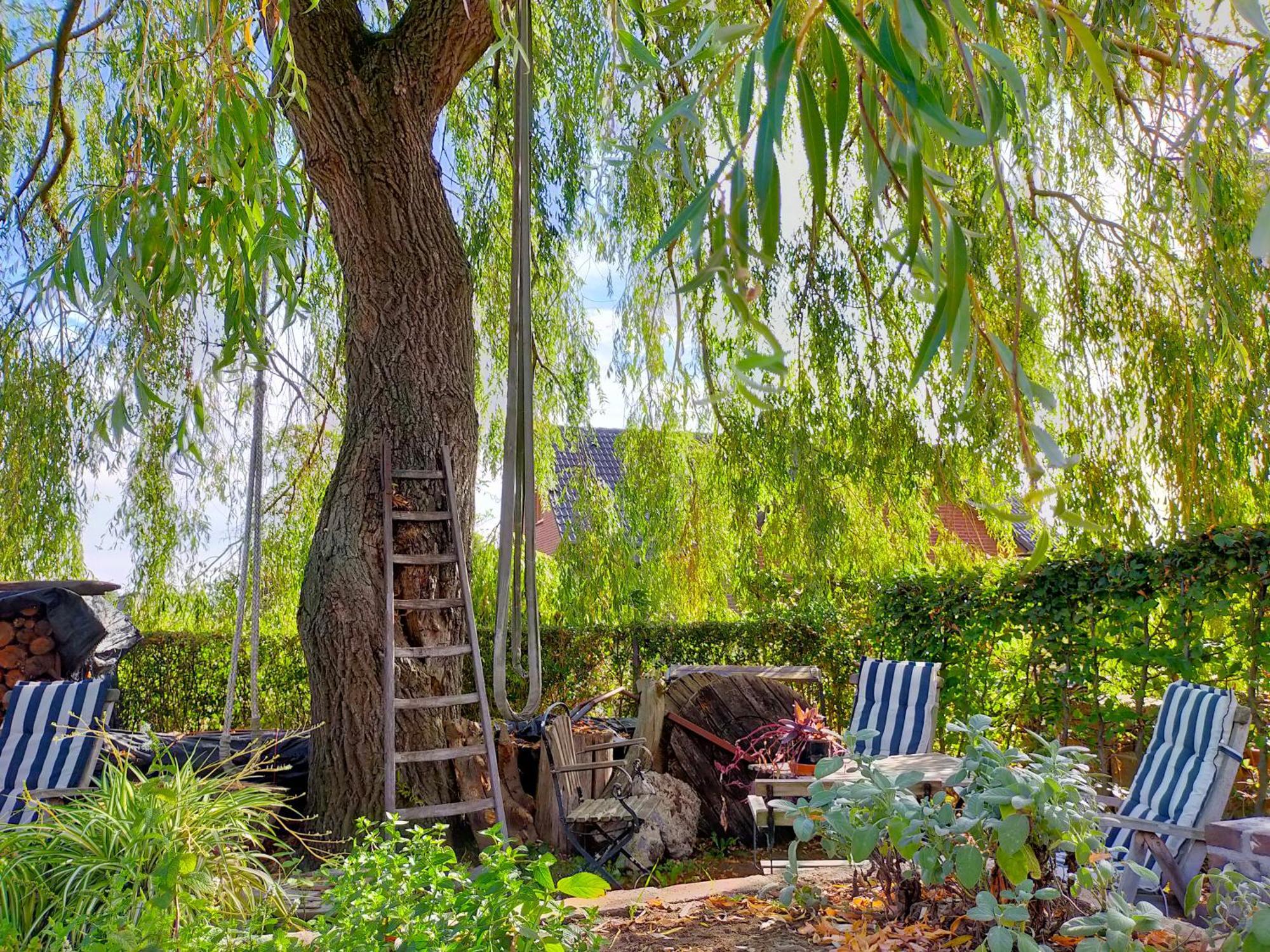 Aan De Molenberg Bed & Breakfast Broekhuizen  Екстериор снимка